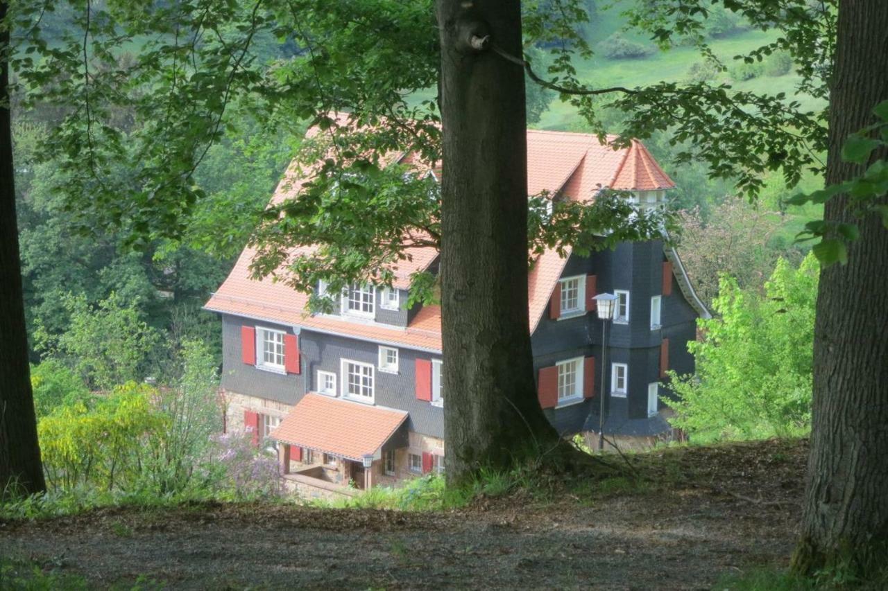 Panoramablick Appartement - Traumhaft! Ober-Hambach Экстерьер фото