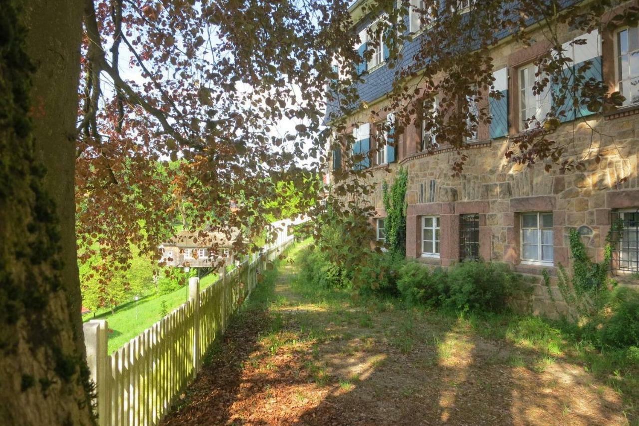 Panoramablick Appartement - Traumhaft! Ober-Hambach Экстерьер фото